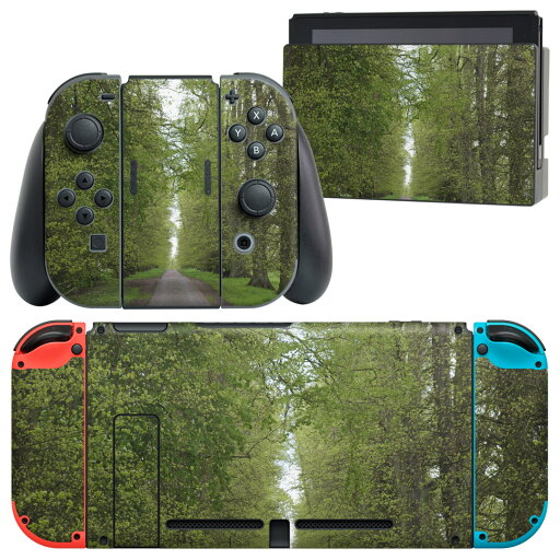 igsticker Nintendo Switch 用 デザインスキンシール 任天堂 ニンテンドー スイッチ 専用 本体ドック Joy-Con Joycon ジョイコン 専用 ゲーム機 カバー アクセサリー フィルム ステッカー 006601 写真 森 植物 igsticker Nintendo Switch 用 デザインスキンシール 任天堂 ニンテンドー スイッチ 専用 本体ドック Joy-Con Joycon ジョイコン 専用 ゲーム機 カバー アクセサリー フィルム ステッカー 006601 写真 森 植物
