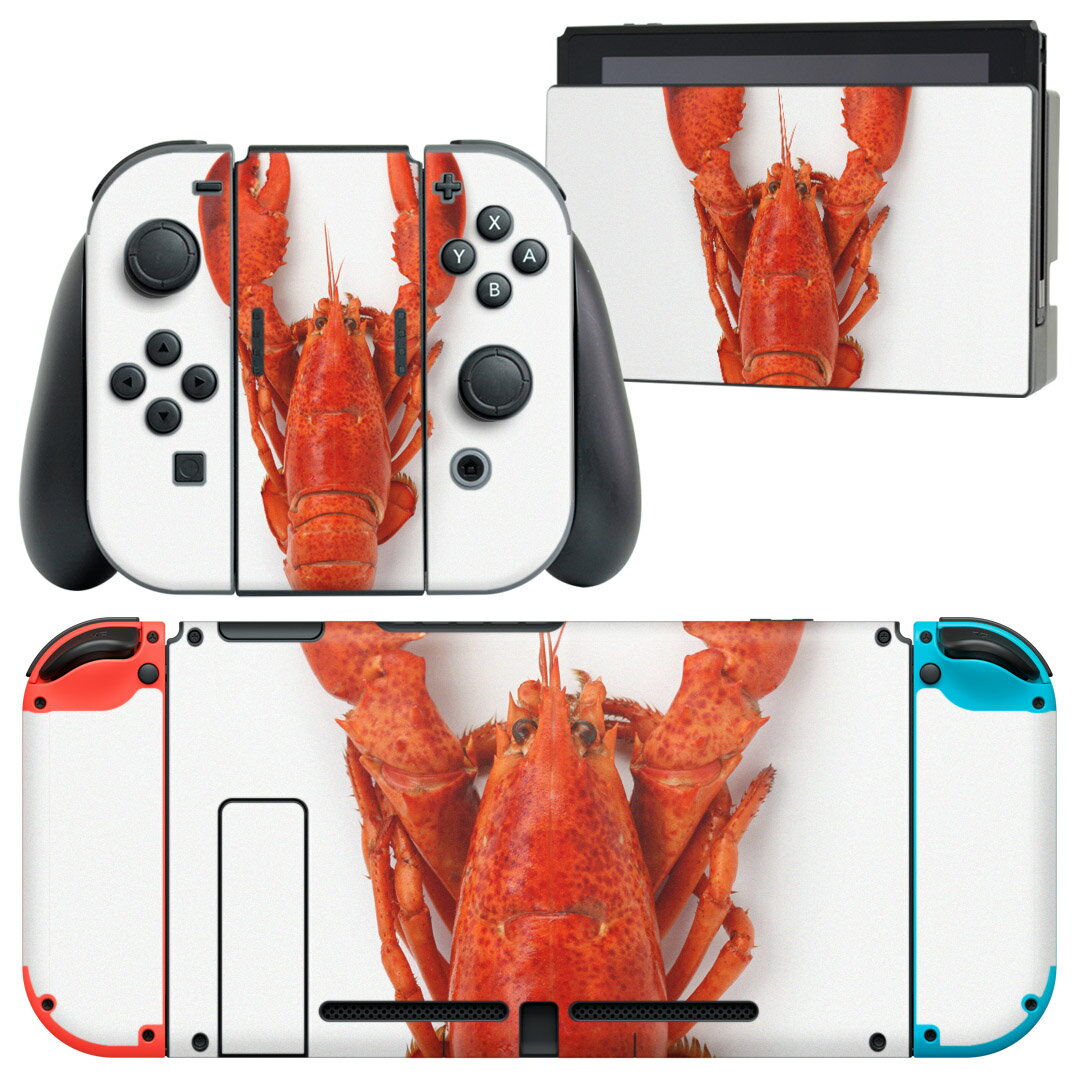 igsticker Nintendo Switch 用 デザインスキンシール 任天堂 ニンテンドー スイッチ 専用 本体ドック Joy-Con Joycon ジョイコン 専用 ゲーム機 カバー アクセサリー フィルム ステッカー 006638 ザリガニ　生き物