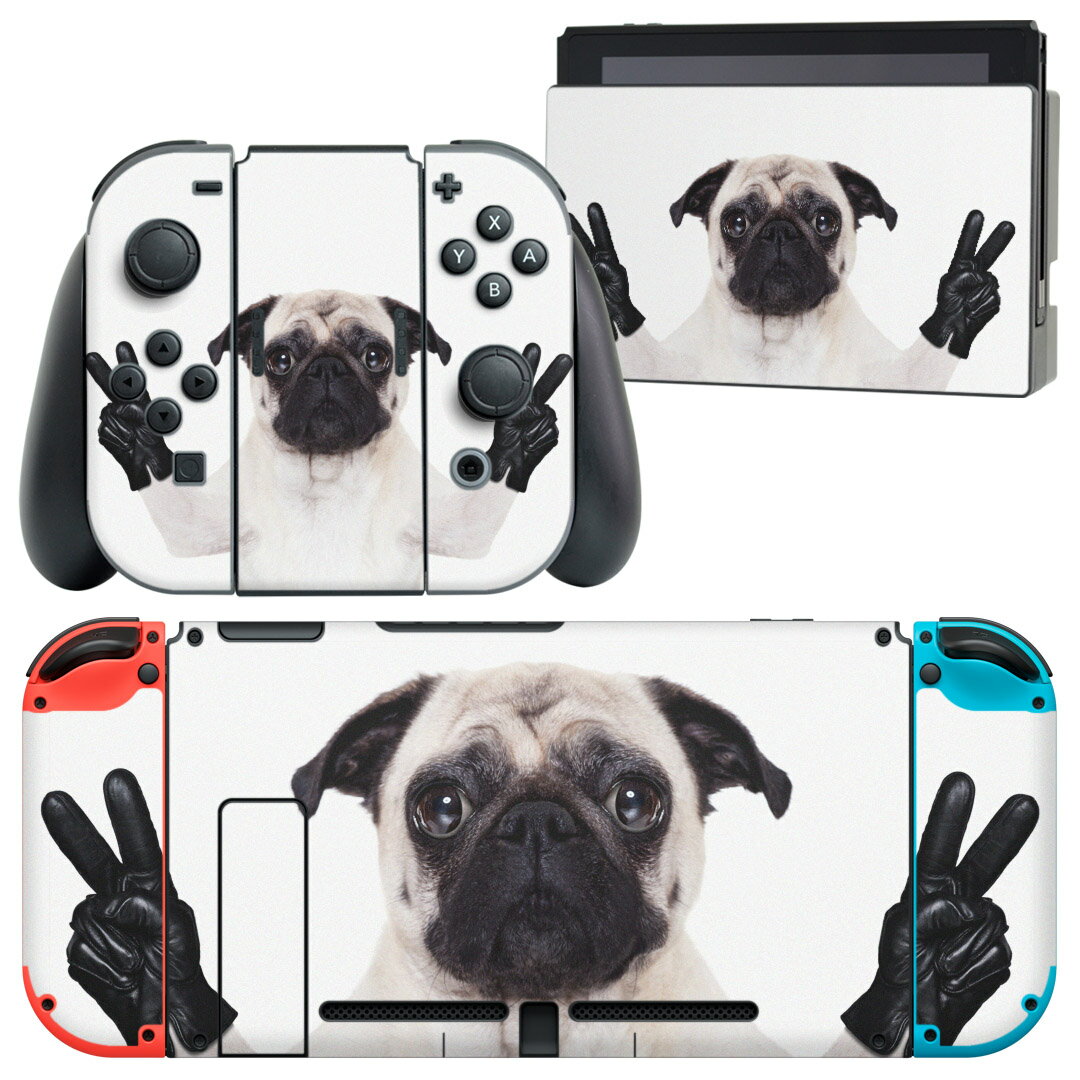 igsticker Nintendo Switch 用 デザインスキンシール 任天堂 ニンテンドー スイッチ 専用 本体ドック Joy-Con Joycon ジョイコン 専用 ゲーム機 カバー アクセサリー フィルム ステッカー 006895 アニマル 動物　犬　写真