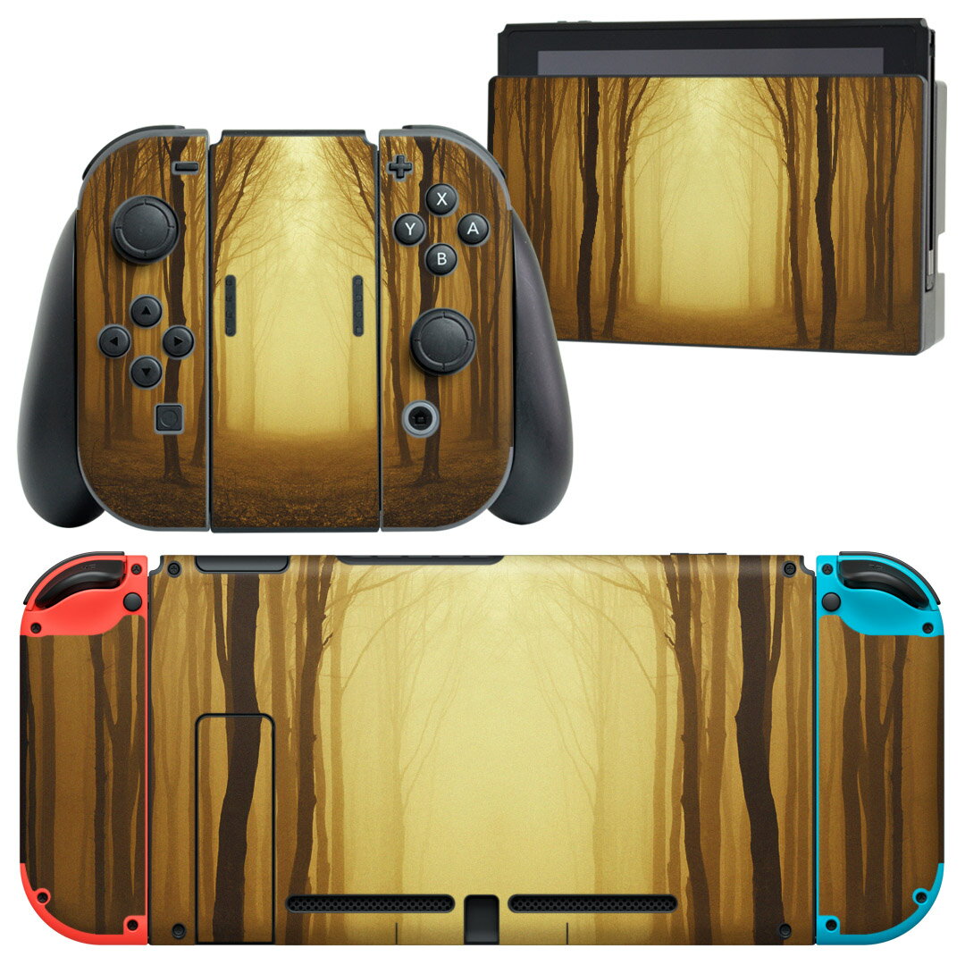 igsticker Nintendo Switch 用 デザインスキンシール 任天堂 ニンテンドー スイッチ 専用 本体ドック Joy-Con Joycon ジョイコン 専用 ゲーム機 カバー アクセサリー フィルム ステッカー 007665 クール 写真 木 植物 森