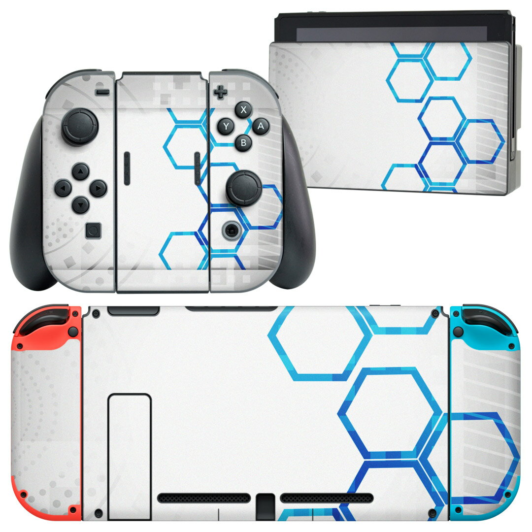 igsticker Nintendo Switch 用 デザインスキンシール 任天堂 ニンテンドー スイッチ 専用 本体ドック Joy-Con Joycon ジョイコン 専用 ゲーム機 カバー アクセサリー フィルム ステッカー 007978 デザイン　灰色　グレー　青　ブルー