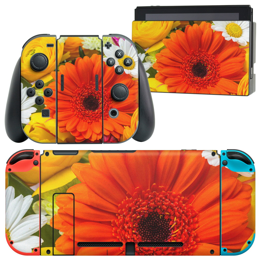 igsticker Nintendo Switch 用 デザインスキンシール 任天堂 ニンテンドー スイッチ 専用 本体ドック Joy-Con Joycon ジョイコン 専用 ゲーム機 カバー アクセサリー フィルム ステッカー 008062 写真　花　　カラフル