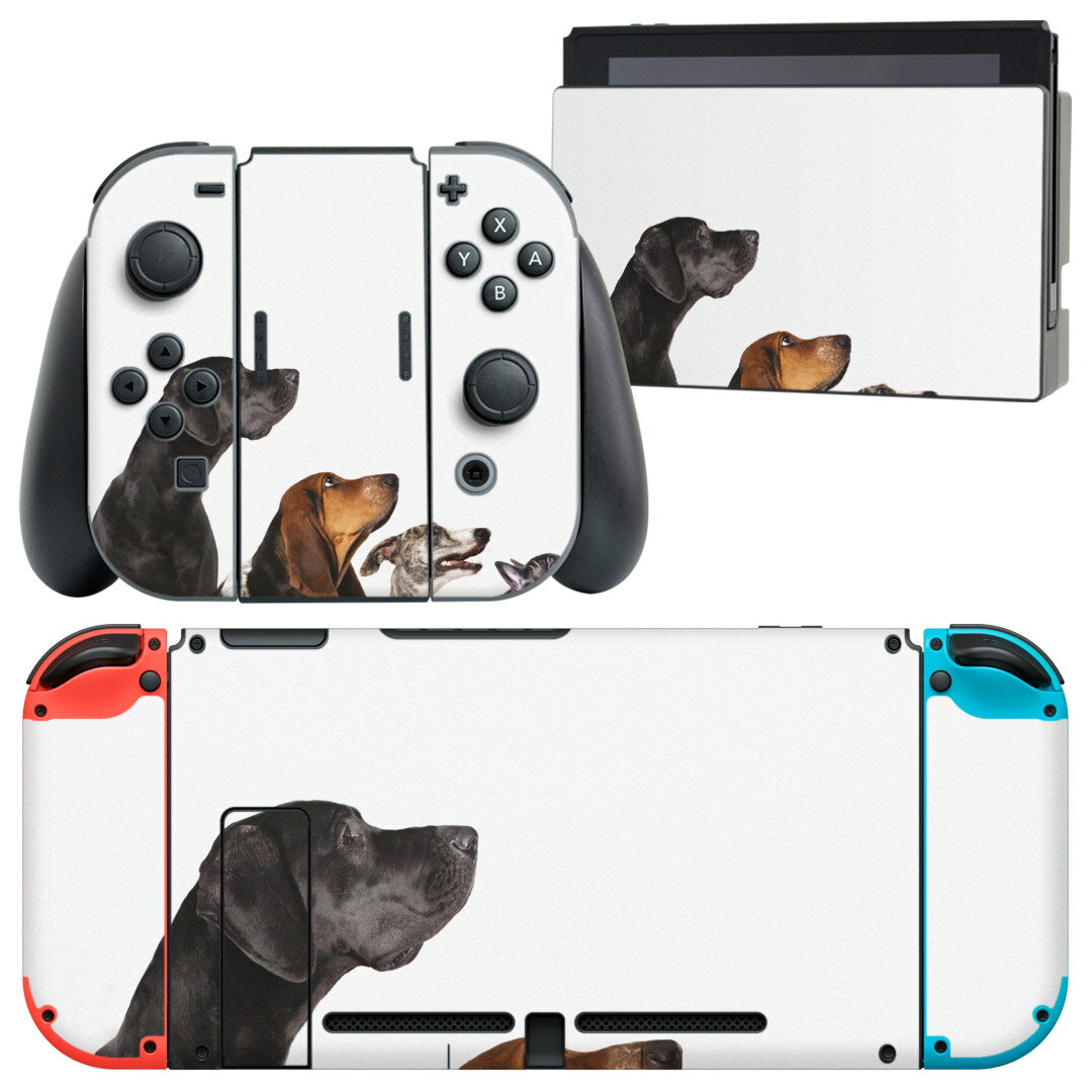igsticker Nintendo Switch 用 デザインスキンシール 任天堂 ニンテンドー スイッチ 専用 本体ドック Joy-Con Joycon ジョイコン 専用 ゲーム機 カバー アクセサリー フィルム ステッカー 008190 写真　犬　いぬ　白　ホワイト