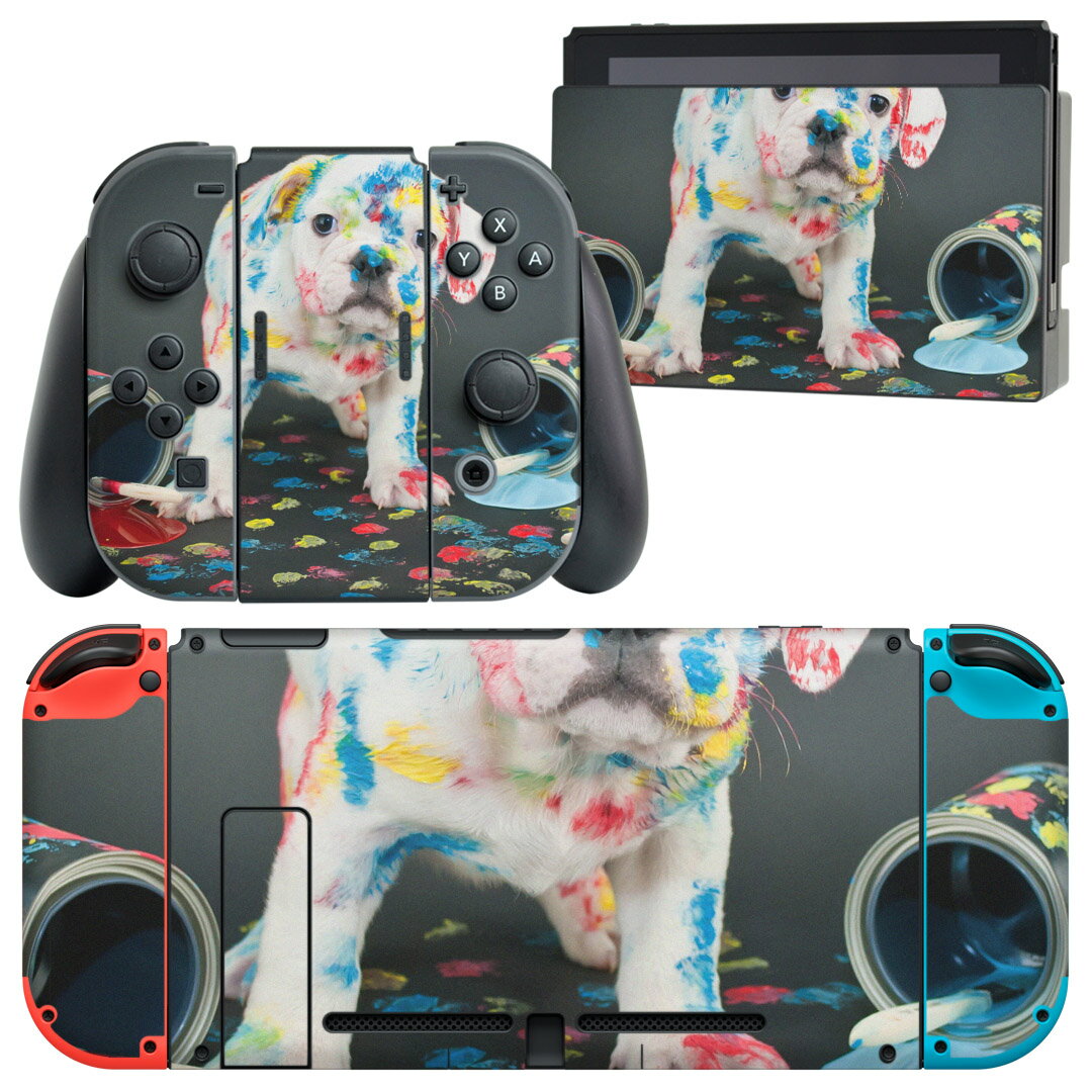 igsticker Nintendo Switch �� �ǥ����󥹥��󥷡��� ǤŷƲ �˥�ƥ�ɡ� �����å� ���� ���Υɥå� Joy-Con Joycon ���祤���� ���� �����ൡ ���С� ���������꡼ �ե���� ���ƥå��� 008304 �����̿����ڥ󥭡����󥯡�����ե�