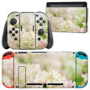 igsticker Nintendo Switch 用 デザインスキンシール 任天堂 ニンテンドー スイッチ 専用 本体ドック Joy-Con Joycon ジョイコン 専用 ゲーム機 カバー アクセサリー フィルム ステッカー 008513 写真 花(2)