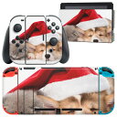 igsticker Nintendo Switch 用 デザインスキンシール 任天堂 ニンテンドー スイッチ 専用 本体ドック Joy-Con Joycon ジョイコン 専用 ゲーム機 カバー アクセサリー フィルム ステッカー 008645 アニマル 犬　猫　帽子　写真