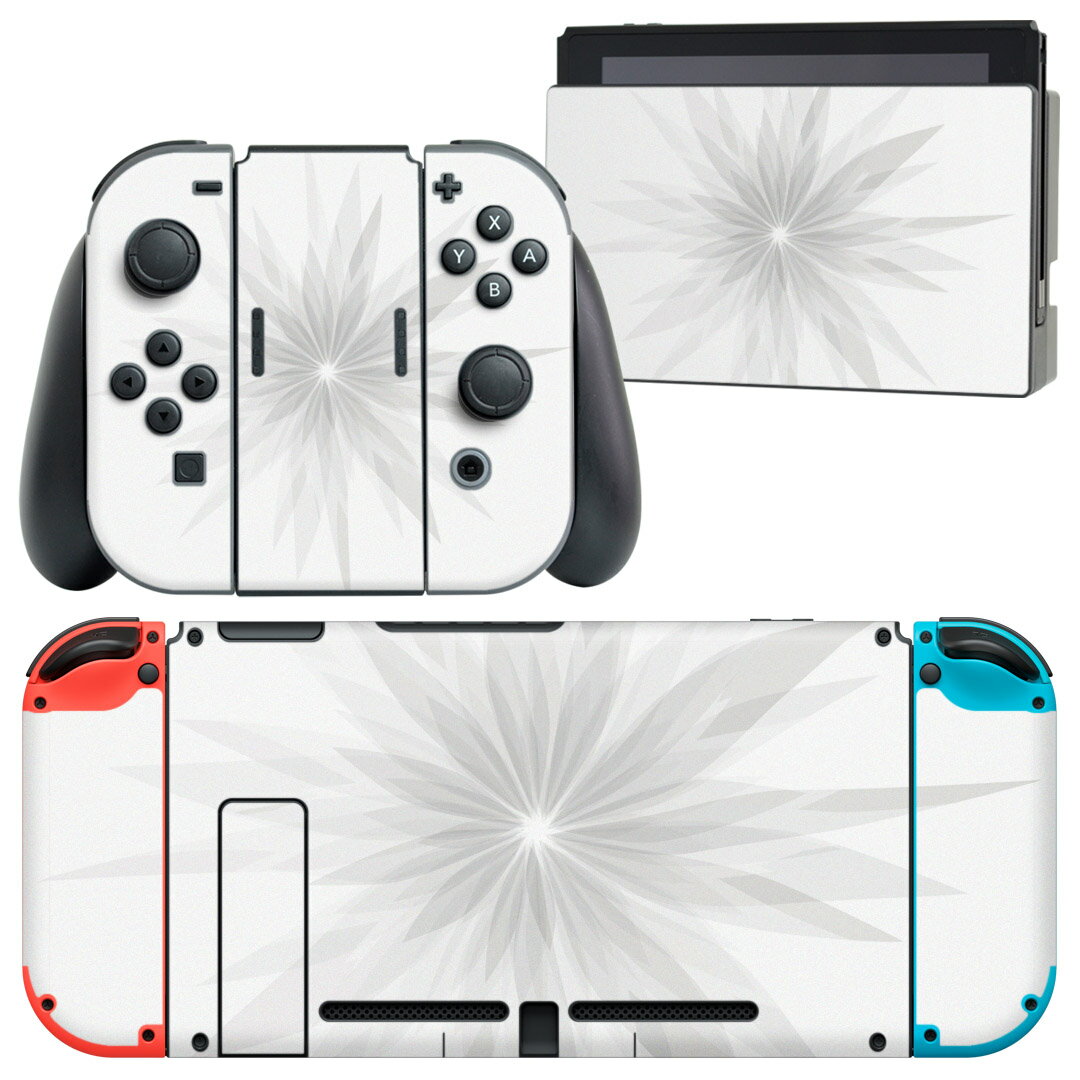 igsticker Nintendo Switch 用 デザインスキンシール 任天堂 ニンテンドー スイッチ 専用 本体ドック Joy-Con Joycon ジョイコン 専用 ゲーム機 カバー アクセサリー フィルム ステッカー 009583 　シンプル　グレー