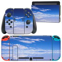 igsticker Nintendo Switch p fUCXLV[ CV jeh[ XCb` p {̃hbN Joy-Con Joycon WCR p Q[@ Jo[ ANZT[ tB XebJ[ 009610 i@@C@ʐ^