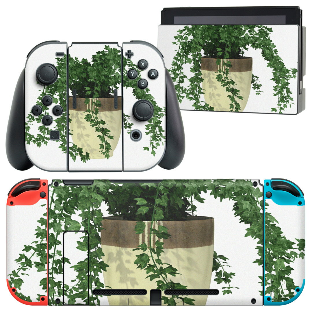 igsticker Nintendo Switch 用 デザインスキンシール 任天堂 ニンテンドー スイッチ 専用 本体ドック Joy-Con Joycon ジョイコン 専用 ゲーム機 カバー アクセサリー フィルム ステッカー 009713 植物　シンプル　緑