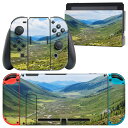 igsticker Nintendo Switch 用 デザインスキンシール 任天堂 ニンテンドー スイッチ 専用 本体ドック Joy-Con Joycon ジョイコン 専用 ゲーム機 カバー アクセサリー フィルム ステッカー 009763 風景 景色 写真