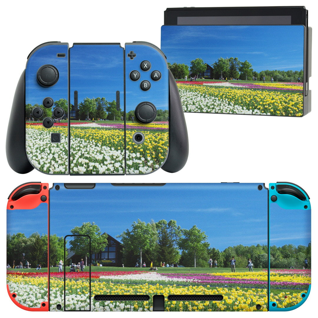 igsticker Nintendo Switch 用 デザインスキンシール 任天堂 ニンテンドー スイッチ 専用 本体ドック Joy-Con Joycon ジョイコン 専用 ゲーム機 カバー アクセサリー フィルム ステッカー 009771 　花　写真