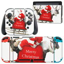 igsticker Nintendo Switch 用 デザインスキンシール 任天堂 ニンテンドー スイッチ 専用 本体ドック Joy-Con Joycon ジョイコン 専用 ゲーム機 カバー アクセサリー フィルム ステッカー 009971 クリスマス サンタ 写真