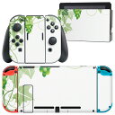igsticker Nintendo Switch 用 デザインスキンシール 任天堂 ニンテンドー スイッチ 専用 本体ドック Joy-Con Joycon ジョイコン 専用 ゲーム機 カバー アクセサリー フィルム ステッカー 010077 植物 ぶどう 緑