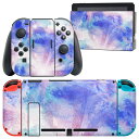 igsticker Nintendo Switch 用 デザインスキンシール 任天堂 ニンテンドー スイッチ 専用 本体ドック Joy-Con Joycon ジョイコン 専用 ゲーム機 カバー アクセサリー フィルム ステッカー 010261 水彩 青 赤