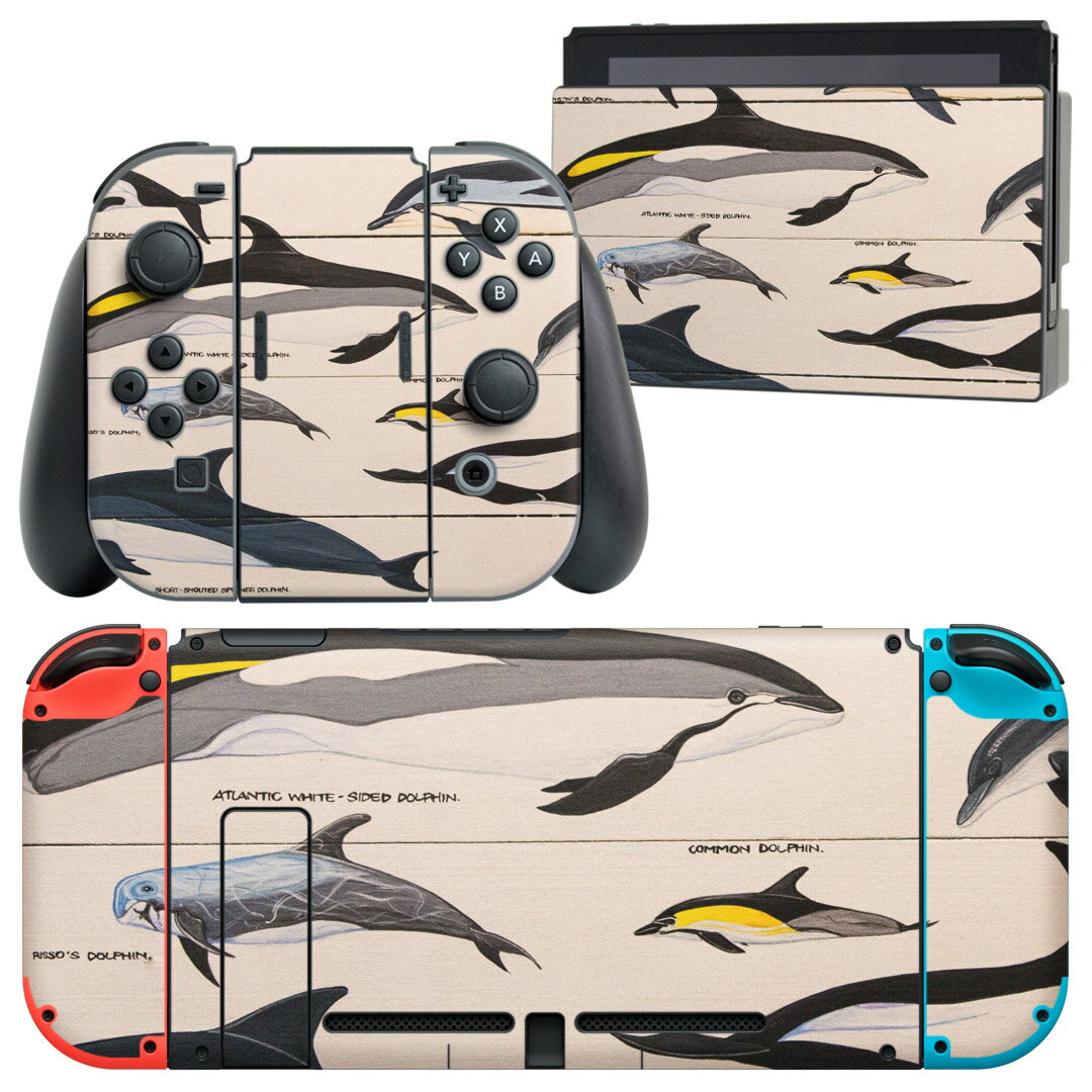 igsticker Nintendo Switch 用 デザインスキンシール 任天堂 ニンテンドー スイッチ 専用 本体ドック Joy-Con Joycon ジョイコン 専用 ゲーム機 カバー アクセサリー フィルム ステッカー 010935 海 イルカ 生き物