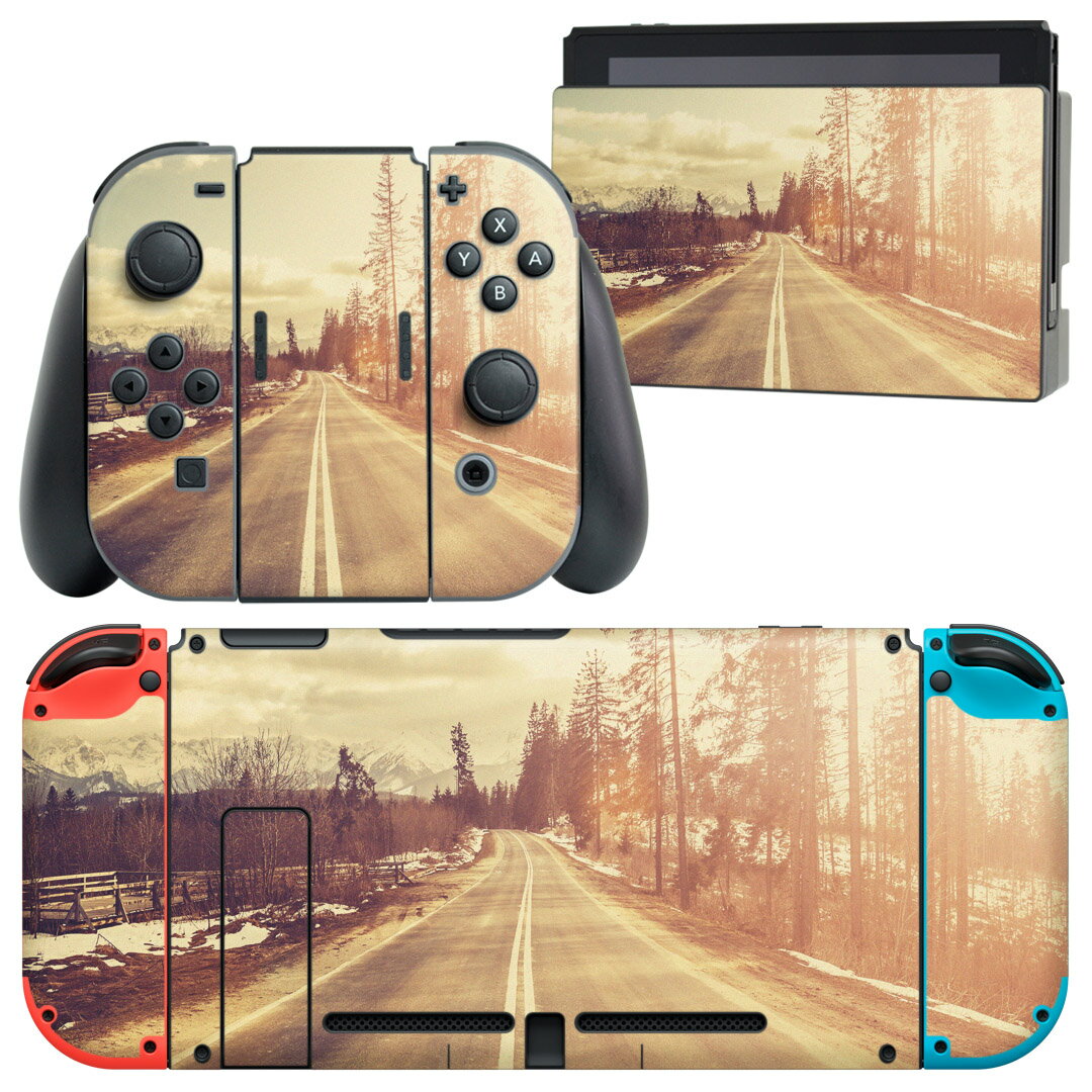 igsticker Nintendo Switch 用 デザインスキンシール 任天堂 ニンテンドー スイッチ 専用 本体ドック Joy-Con Joycon ジョイコン 専用 ゲーム機 カバー アクセサリー フィルム ステッカー 011287 写真 風景 道