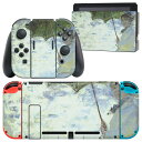 igsticker Nintendo Switch 用 デザインスキンシール 任天堂 ニンテンドー スイッチ 専用 本体ドック Joy-Con Joycon ジョイコン 専用 ゲーム機 カバー アクセサリー フィルム ステッカー 011461 イラスト 人物 絵画(2)