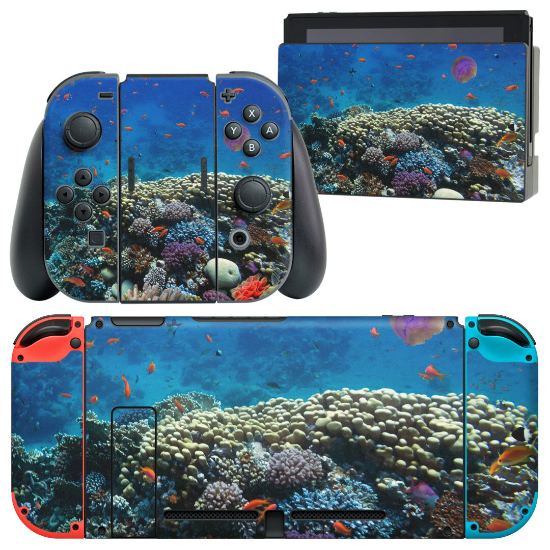 igsticker Nintendo Switch 用 デザインスキンシール 任天堂 ニンテンドー スイッチ 専用 本体ドック Joy-Con Joycon ジョイコン 専用 ゲーム機 カバー アクセサリー フィルム ステッカー 011697 海 珊瑚 写真