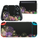 igsticker Nintendo Switch p fUCXLV[ CV jeh[ XCb` p {̃hbN Joy-Con Joycon WCR p Q[@ Jo[ ANZT[ tB XebJ[ 012490 C~l[V@i@iF