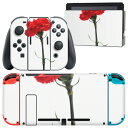igsticker Nintendo Switch 用 デザインスキンシール 任天堂 ニンテンドー スイッチ 専用 本体ドック Joy-Con Joycon ジ...
