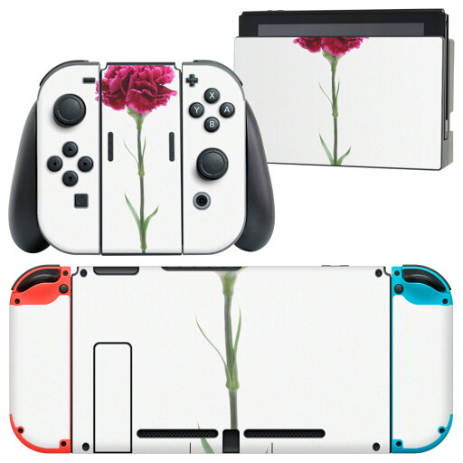 igsticker Nintendo Switch 用 デザインスキンシール 任天堂 ニンテンドー スイッチ 専用 本体ドック Joy-Con Joycon ジョイコン 専用 ゲーム機 カバー アクセサリー フィルム ステッカー 012933 母の日 カーネーション 花