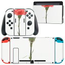 igsticker Nintendo Switch 用 デザインスキンシール 任天堂 ニンテンドー スイッチ 専用 本体ドック Joy-Con Joycon ジ...