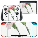 igsticker Nintendo Switch 用 デザインスキンシール 任天堂 ニンテンドー スイッチ 専用 本体ドック Joy-Con Joycon ジ...