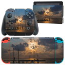 igsticker Nintendo Switch 用 デザインスキンシール 任天堂 ニンテンドー スイッチ 専用 本体ドック Joy-Con Joycon ジョイコン 専用 ゲーム機 カバー アクセサリー フィルム ステッカー 013534 写真　海　空