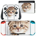 igsticker Nintendo Switch 用 デザインスキンシール 任天堂 ニンテンドー スイッチ 専用 本体ドック Joy-Con Joycon ジョイコン 専用 ゲーム機 カバー アクセサリー フィルム ステッカー 013568 猫　写真　子猫