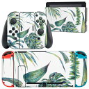 igsticker Nintendo Switch 用 デザインスキンシール 任天堂 ニンテンドー スイッチ 専用 本体ドック Joy-Con Joycon ジョイコン 専用 ゲーム機 カバー アクセサリー フィルム ステッカー 014665 リーフ ボタニカル