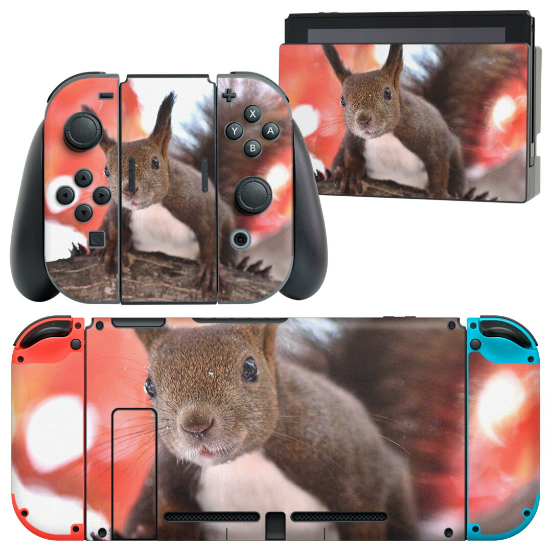 igsticker Nintendo Switch 用 デザインスキンシール 任天堂 ニンテンドー スイッチ 専用 本体ドック Joy-Con Joycon ジョイコン 専用 ゲーム機 カバー アクセサリー フィルム ステッカー 014830 冬 動物 リス 紅葉