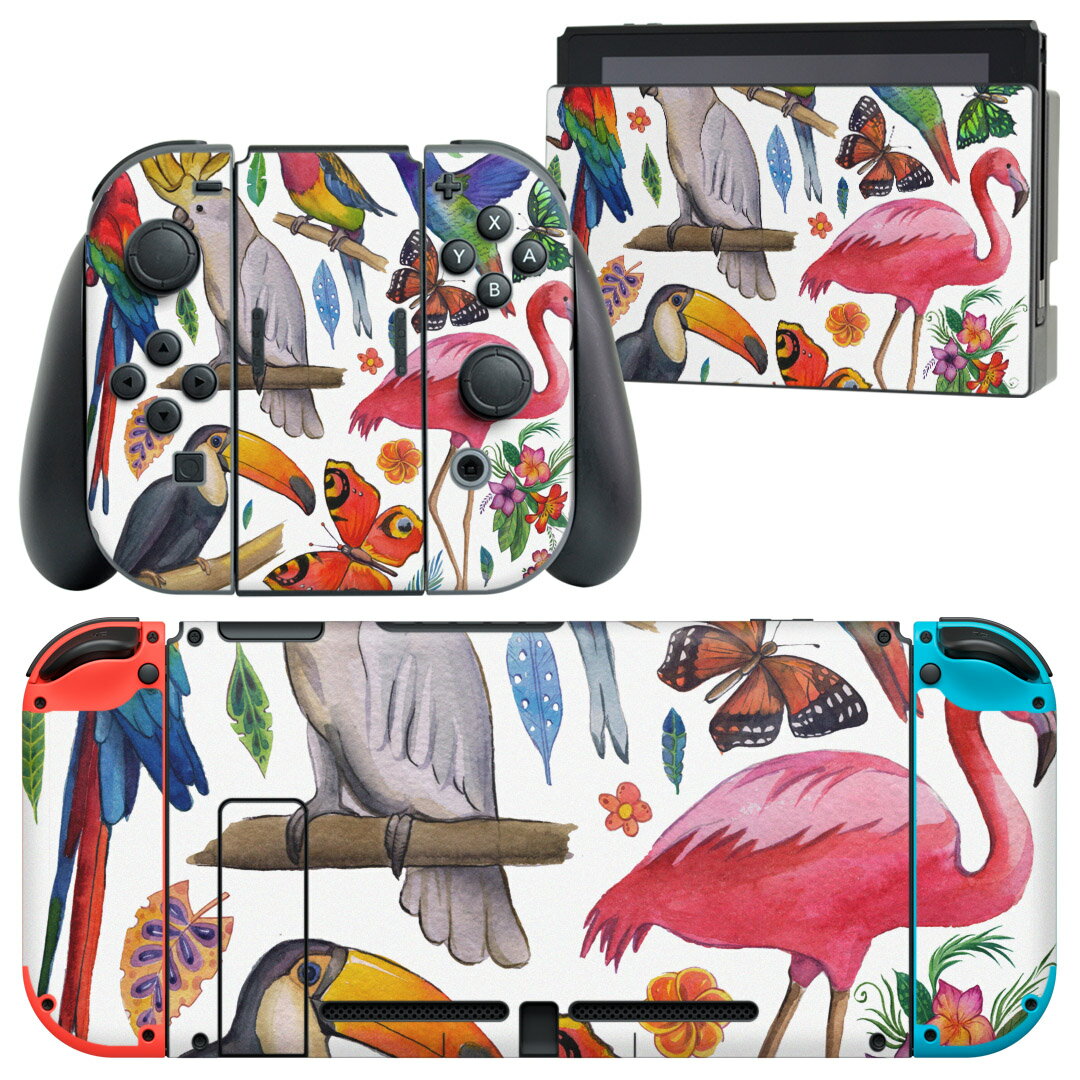 igsticker Nintendo Switch 用 デザインスキンシール 任天堂 ニンテンドー スイッチ 専用 本体ドック Joy-Con Joycon ジョイコン 専用 ゲーム機 カバー アクセサリー フィルム ステッカー 014839 鳥　カラフル　動物