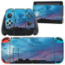 igsticker Nintendo Switch 用 デザインスキンシール 任天堂 ニンテンドー スイッチ 専用 本体ドック Joy-Con Joycon ジョイコン 専用 ゲーム機 カバー アクセサリー フィルム ステッカー 014906 景色　夜景　自然