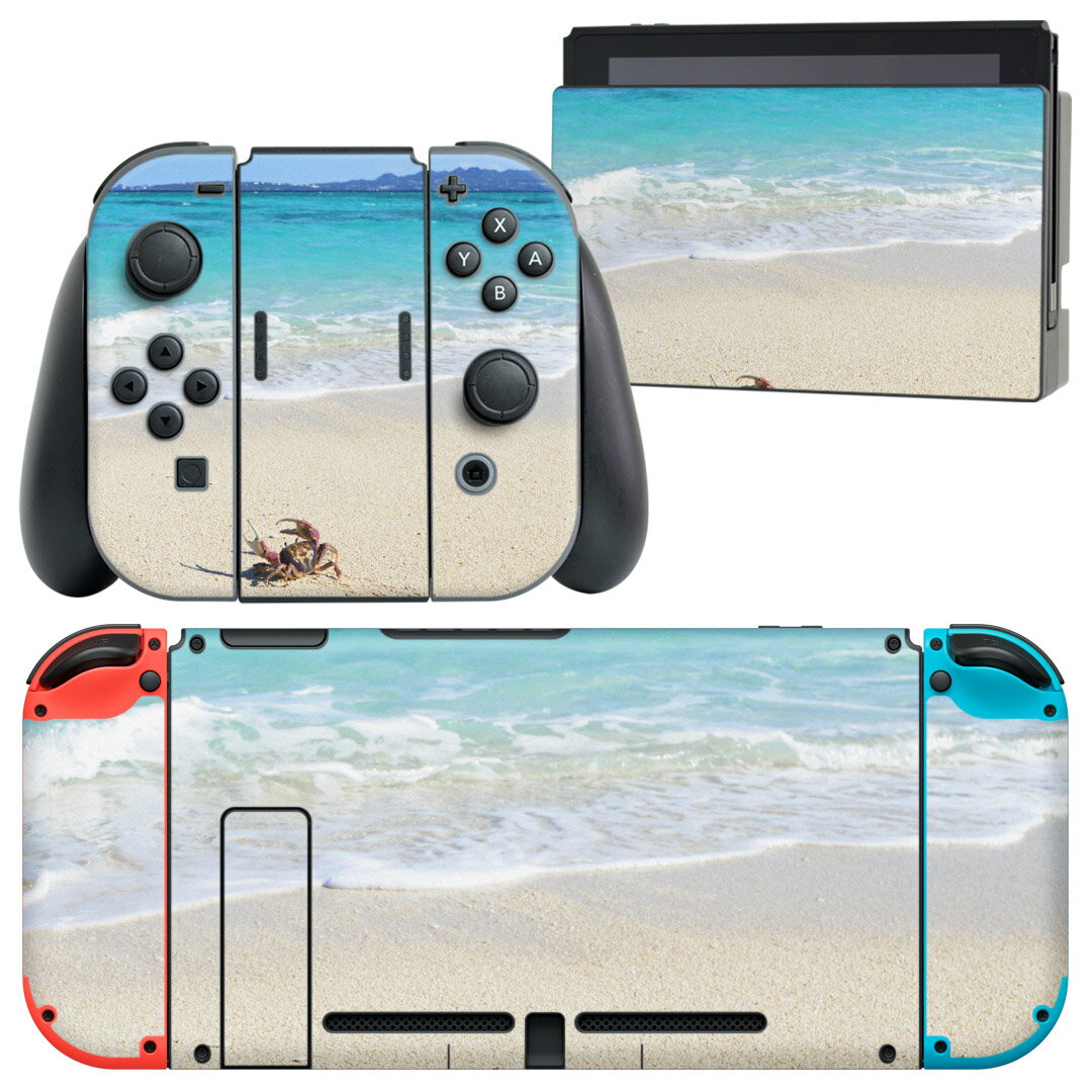 igsticker Nintendo Switch 用 デザインスキンシール 任天堂 ニンテンドー スイッチ 専用 本体ドック Joy-Con Joycon ジョイコン 専用 ゲーム機 カバー アクセサリー フィルム ステッカー 014963 風景　自然　背景　海　海岸