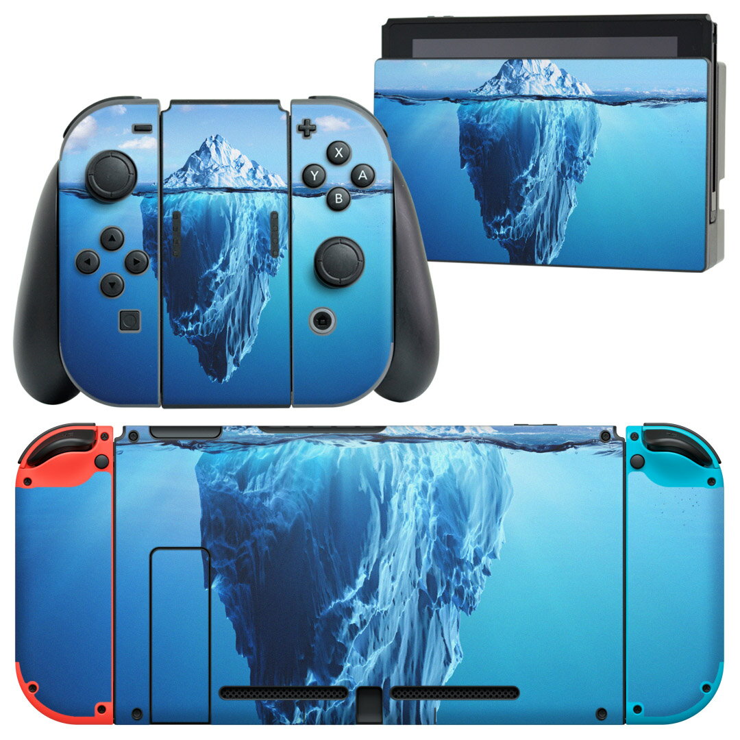 igsticker Nintendo Switch 用 デザインスキンシール 任天堂 ニンテンドー スイッチ 専用 本体ドック Joy-Con Joycon ジョイコン 専用 ゲーム機 カバー アクセサリー フィルム ステッカー 014978 景色　自然　風景　イラスト　雲　海