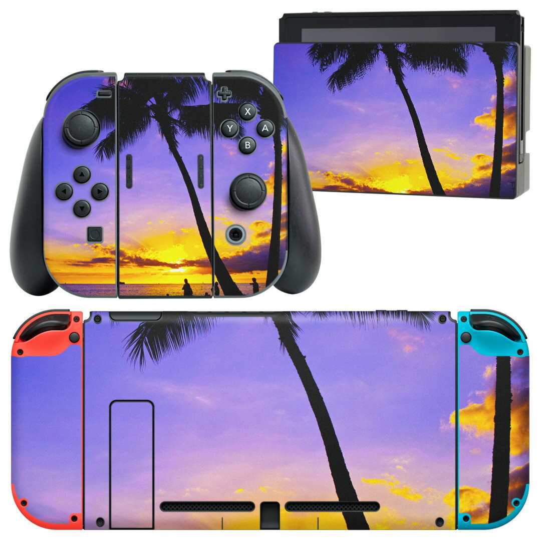 igsticker Nintendo Switch 用 デザインスキンシール 任天堂 ニンテンドー スイッチ 専用 本体ドック Joy-Con Joycon ジョイコン 専用 ゲーム機 カバー アクセサリー フィルム ステッカー 015718 風景 ヤシの木 写真