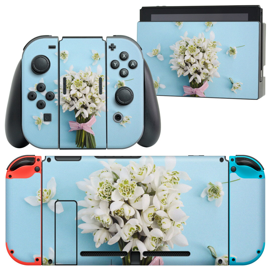 igsticker Nintendo Switch 用 デザインスキンシール 任天堂 ニンテンドー スイッチ 専用 本体ドック Joy-Con Joycon ジョイコン 専用 ゲーム機 カバー アクセサリー フィルム ステッカー 015878 花　写真　自然　カラフル