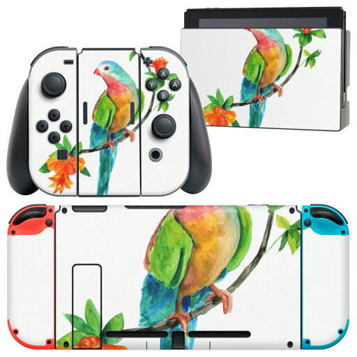 igsticker Nintendo Switch 用 デザインスキンシール 任天堂 ニンテンドー スイッチ 専用 本体ドック Joy-Con Joycon ジョイコン 専用 ゲーム機 カバー アクセサリー フィルム ステッカー 016279 植物 草 鳥 igsticker Nintendo Switch 用 デザインスキンシール 任天堂 ニンテンドー スイッチ 専用 本体ドック Joy-Con Joycon ジョイコン 専用 ゲーム機 カバー アクセサリー フィルム ステッカー 016279 植物 草 鳥