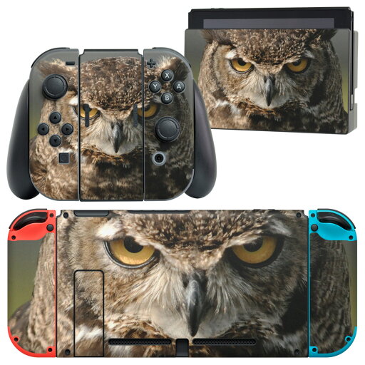 igsticker Nintendo Switch 用 デザインスキンシール 任天堂 ニンテンドー スイッチ 専用 本体ドック Joy-Con Joycon ジョイコン 専用 ゲーム機 カバー アクセサリー フィルム ステッカー 016308 フクロウ 写真 igsticker Nintendo Switch 用 デザインスキンシール 任天堂 ニンテンドー スイッチ 専用 本体ドック Joy-Con Joycon ジョイコン 専用 ゲーム機 カバー アクセサリー フィルム ステッカー 016308 フクロウ 写真