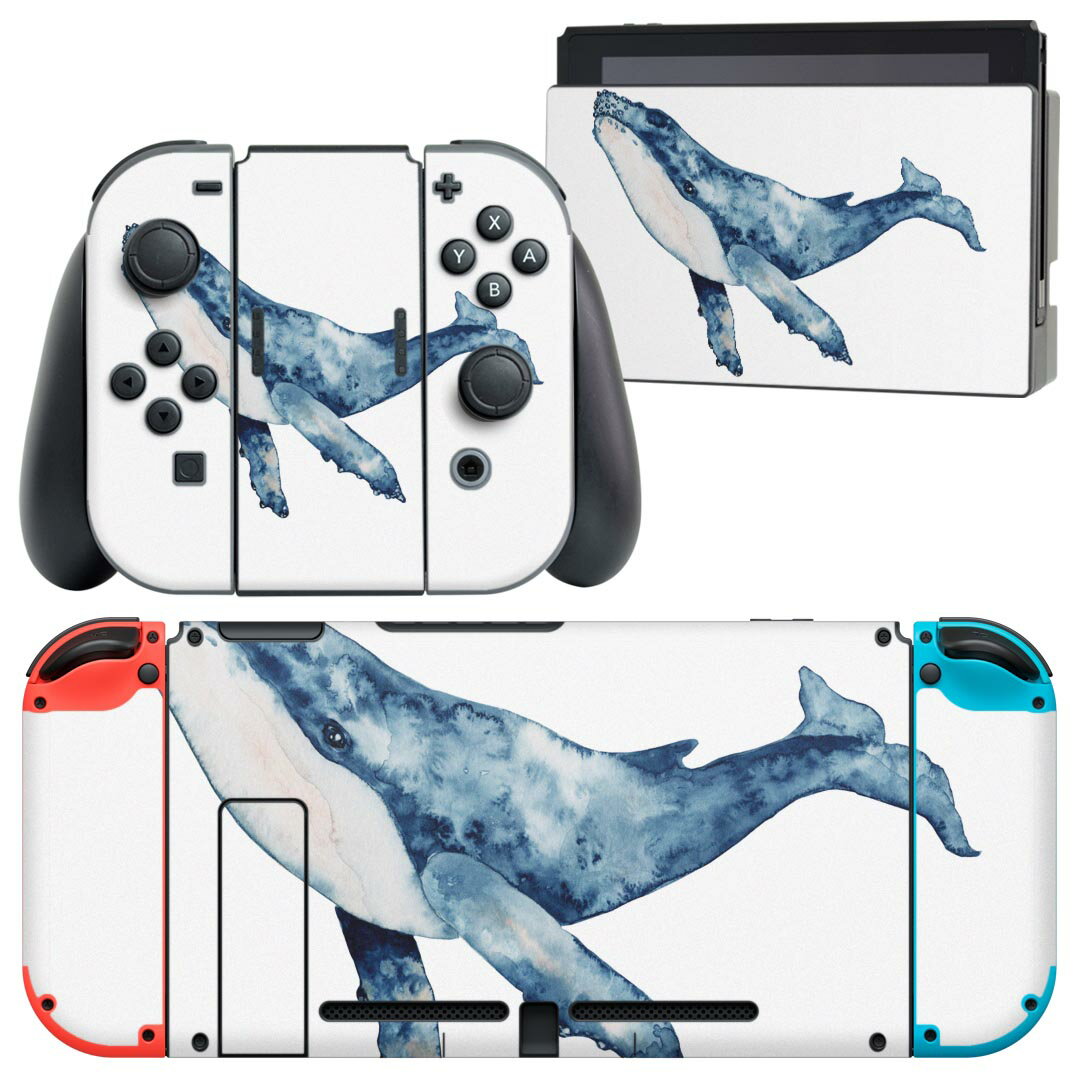 switch_017506.jpg