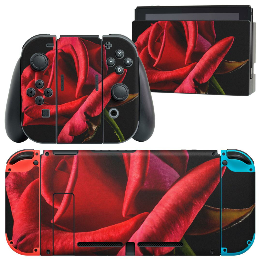 igsticker Nintendo Switch 用 デザインスキンシール 任天堂 ニンテンドー スイッチ 専用 本体ドック Joy-Con Joycon ジョイコン 専用 ..
