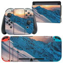igsticker Nintendo Switch 用 デザインスキンシール 任天堂 ニンテンドー スイッチ 専用 本体ドック Joy-Con Joycon ジョイコン 専用 ゲーム機 カバー アクセサリー フィルム ステッカー 018337 雪山 写真 空(2)