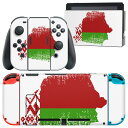 igsticker Nintendo Switch 用 デザインスキンシール 任天堂 ニンテンドー スイッチ 専用 本体ドック Joy-Con Joycon ジョイコン 専用 ゲーム機 カバー アクセサリー フィルム ステッカー 018772 国旗 belarus ベラルーシ(2)