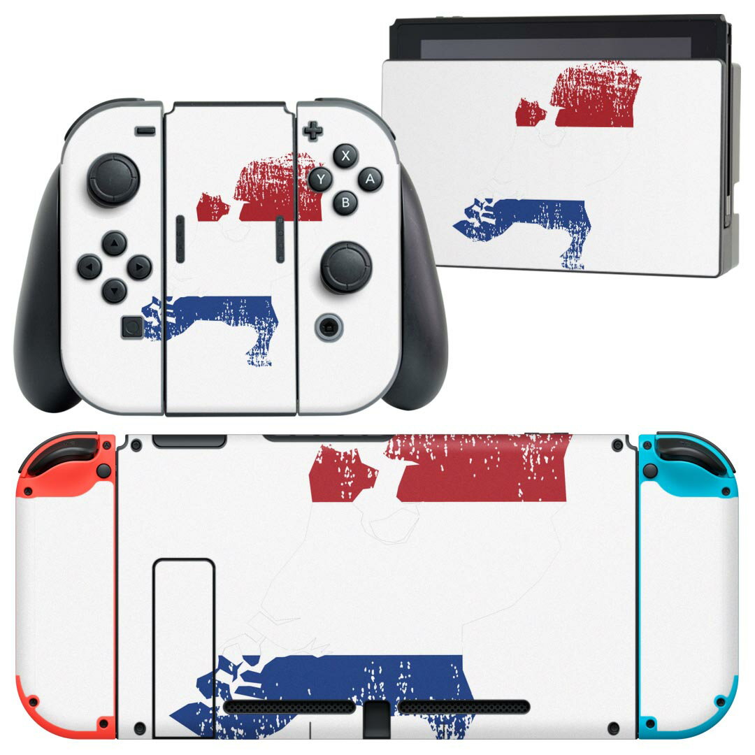 igsticker Nintendo Switch 用 デザインスキンシール 任天堂 ニンテンドー スイッチ 専用 本体ドック Joy-Con Joycon ジョイコン 専用 ゲーム機 カバー アクセサリー フィルム ステッカー 018899 国旗 netherlands オランダ