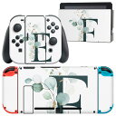 igsticker Nintendo Switch 用 デザインスキンシール 任天堂 ニンテンドー スイッチ 専用 本体ドック Joy-Con Joycon ジョイコン 専用 ゲーム機 カバー アクセサリー フィルム ステッカー 019383 フォント 文字 e アルファベット(2)