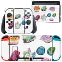 igsticker Nintendo Switch 用 デザインスキンシール 任天堂 ニンテンドー スイッチ 専用 本体ドック Joy-Con Joycon ジョイコン 専用 ゲーム機 カバー アクセサリー フィルム ステッカー 019729 デザイン 鉱物 minerals 石(2)