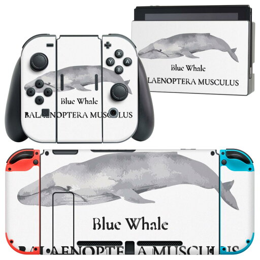 igsticker Nintendo Switch 用 デザインスキンシール 任天堂 ニンテンドー スイッチ 専用 本体ドック Joy-Con Joycon ジョイコン 専用 ゲーム機 カバー アクセサリー フィルム ステッカー 019741 デザイン 海の生物 シロナガスクジラ blue whale igsticker Nintendo Switch 用 デザインスキンシール 任天堂 ニンテンドー スイッチ 専用 本体ドック Joy-Con Joycon ジョイコン 専用 ゲーム機 カバー アクセサリー フィルム ステッカー 019741 デザイン 海の生物 シロナガスクジラ blue whale