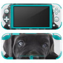 igsticker Nintendo Switch Lite p fUCXLV[ S jeh[ XCb` Cg p Q[@ Jo[ ANZT[ tB XebJ[ GAt[ 000127   t`uhbN _bNXtg