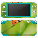 igsticker Nintendo Switch Lite 専用 デザインスキンシール 全面 ニンテンドー スイッチ ライト 専用 ゲーム機 カバー アクセサリー フィルム ステッカー エアフリー 000820 てんとう虫 草(2)
