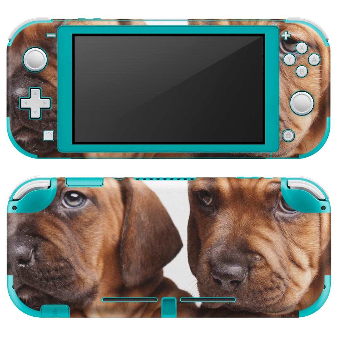 igsticker Nintendo Switch Lite p fUCXLV[ S jeh[ XCb` Cg p Q[@ Jo[ ANZT[ tB XebJ[ GAt[ 001153 @